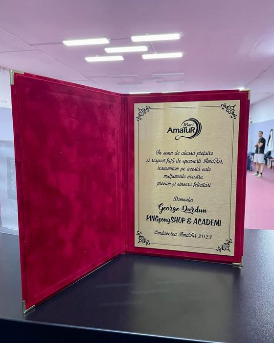 Palete si echipamente ping pong online/offline