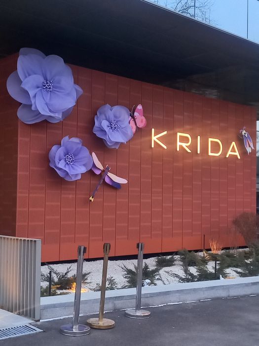 Большие цветы из ткани