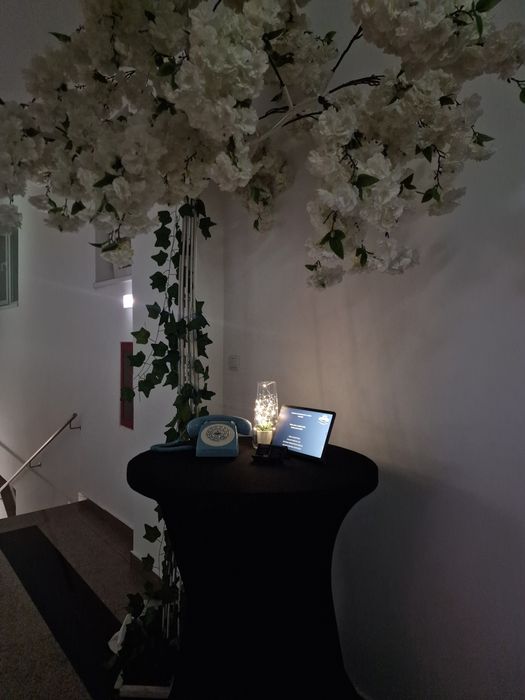 Photobooth • Videobooth 360 •Arcada de Baloane •Fum greu • Artificii