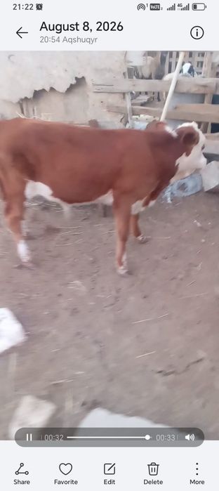 Баспактар сатылады