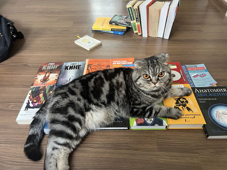 книги от 500 до 2000тг