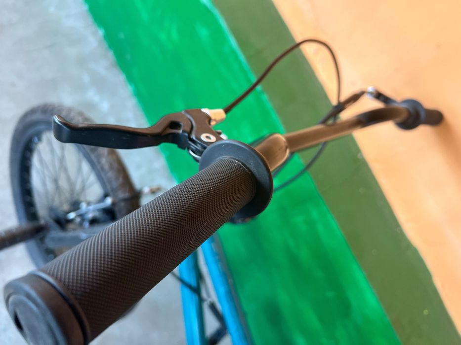 BMX FishBone P1000