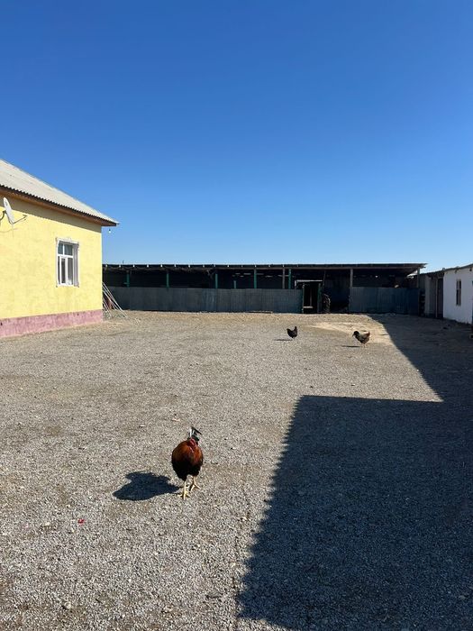 Үй сатылады жакаев