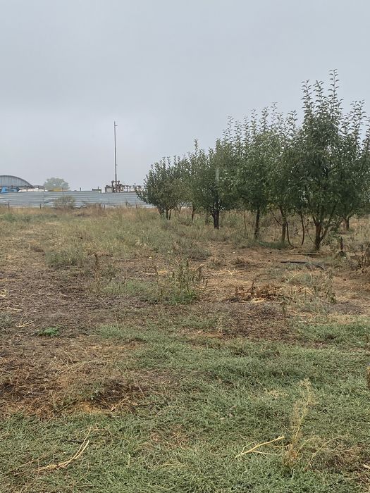 Продам участок 25 соток!