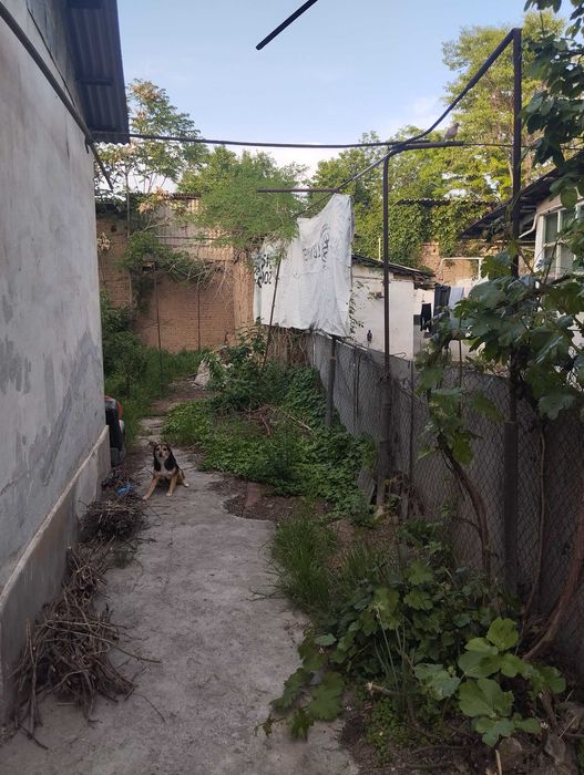 ПРОДАЁТСЯ, САРАКУЛЬСКАЯ 2.05сот Янги замон кучаси.