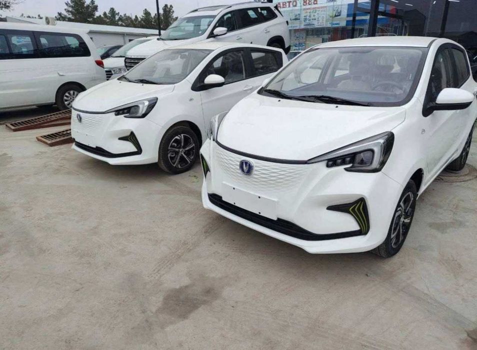 Changan ben ben e-star full version