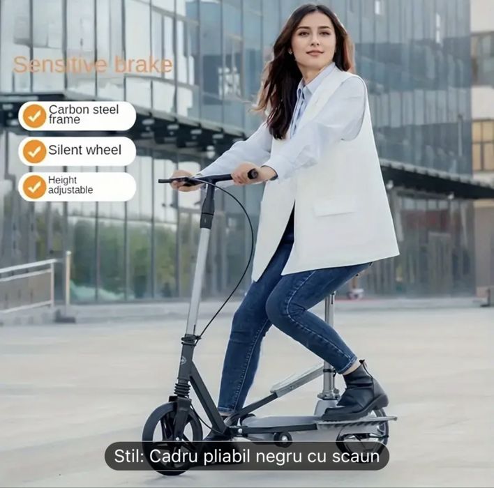 Trotineta……………..