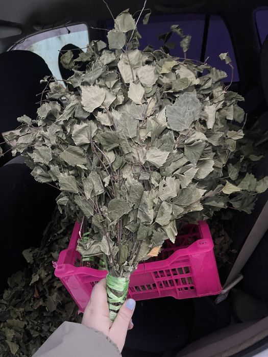 Продам Веники Берёза