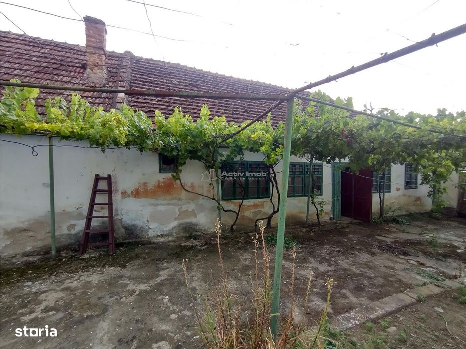 Socol | Casa 7 Camere | Parter + Pod | 546MP Teren