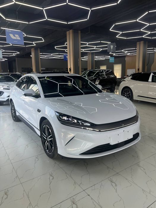 Byd Qin L 2026yil 545km full