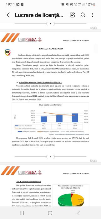 Proiecte scolare la comandă