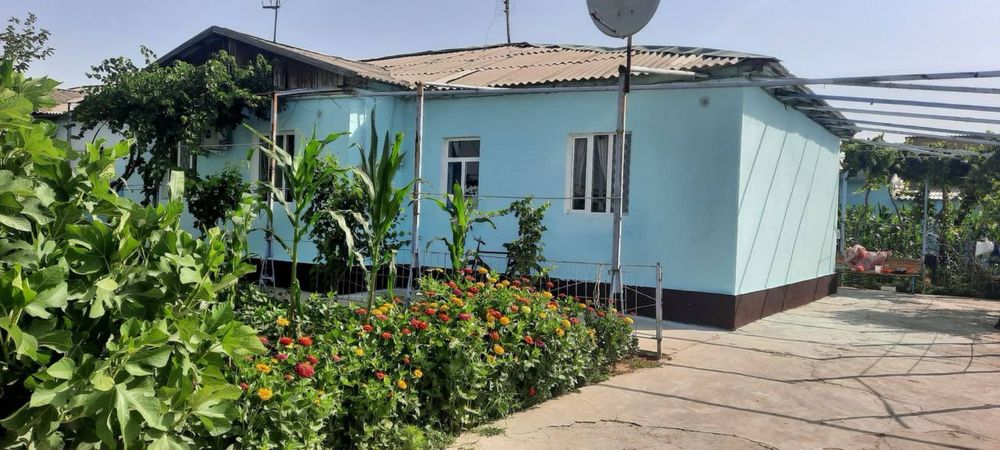 Жиззах, Пахтакор тум, 9 сутихли ховли