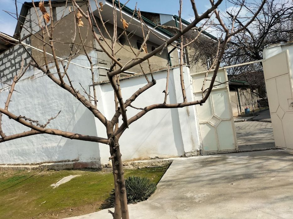 Xuvaydoda  uy sotiladi