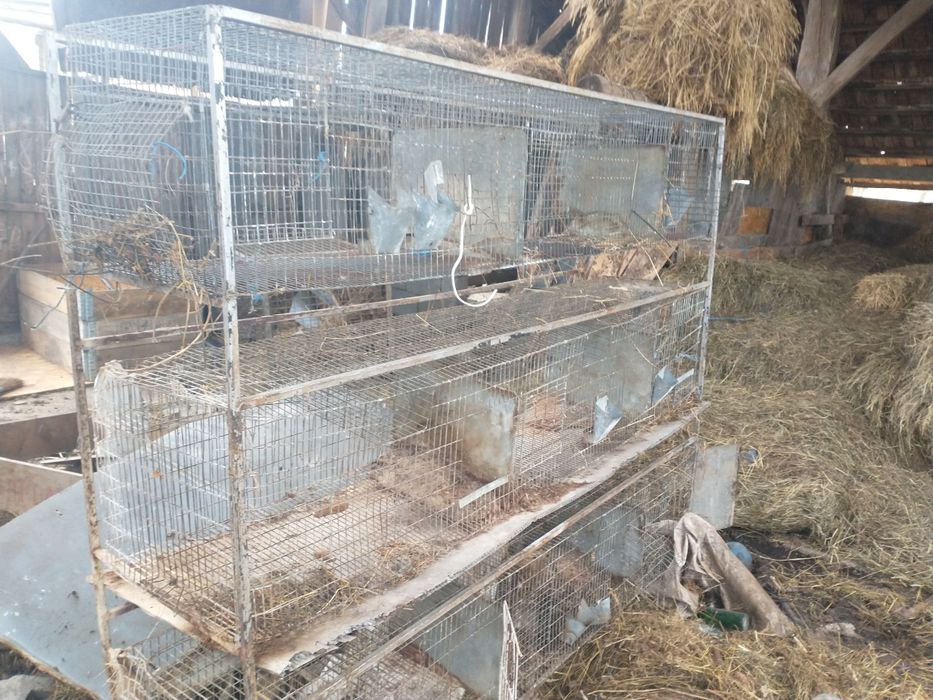 Cușcă iepuri 9 boxe