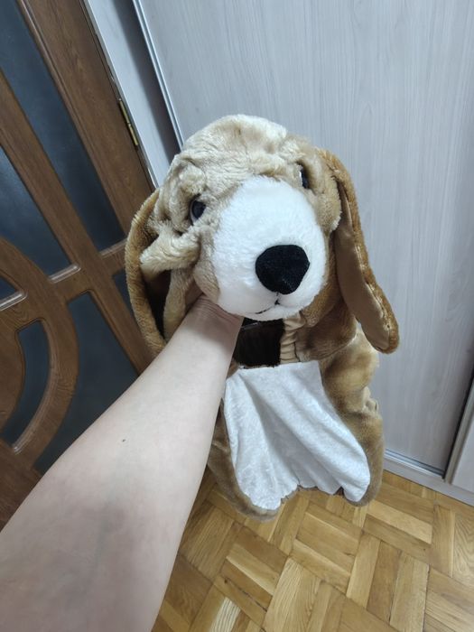 Costum caine fete și baieti