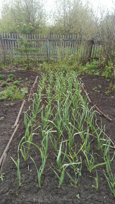 Продам дачный участок