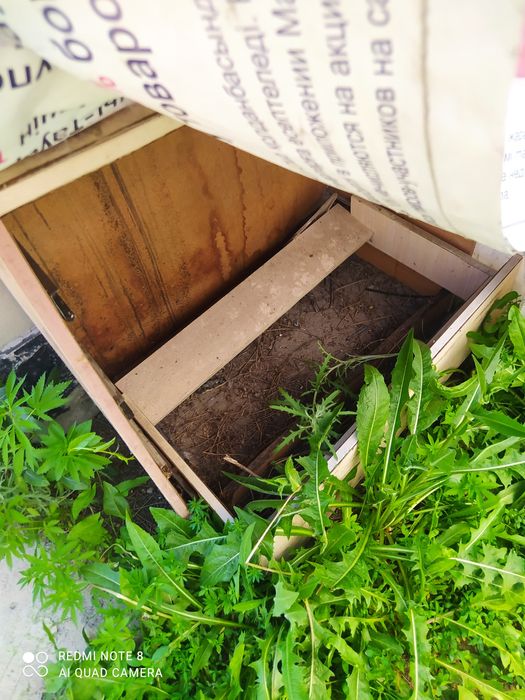 Отдам даром дрова