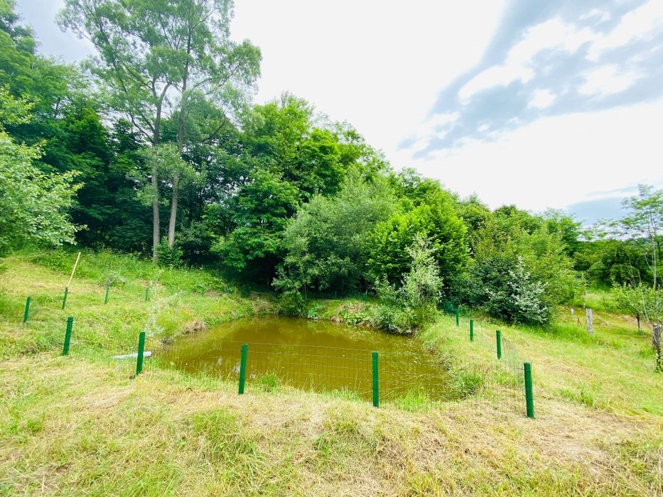 Pensiunea Valea VEVERITELOR (revelion ocupat)