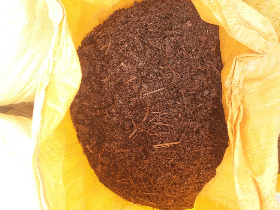 Chirigan Mol gongi sotiladi !!!