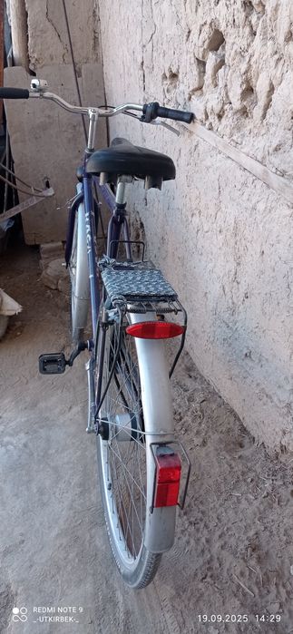 RAGGIZZI Germany velo sotiladi