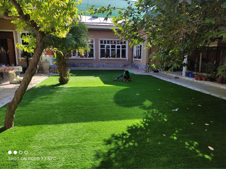 Gazon SAG chim maysa газон gozon