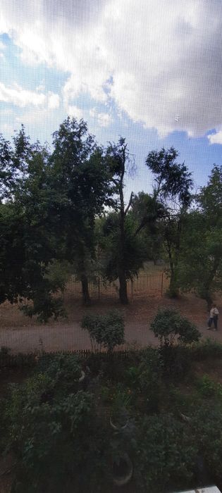 Сдам 2х Бак-Бак.
