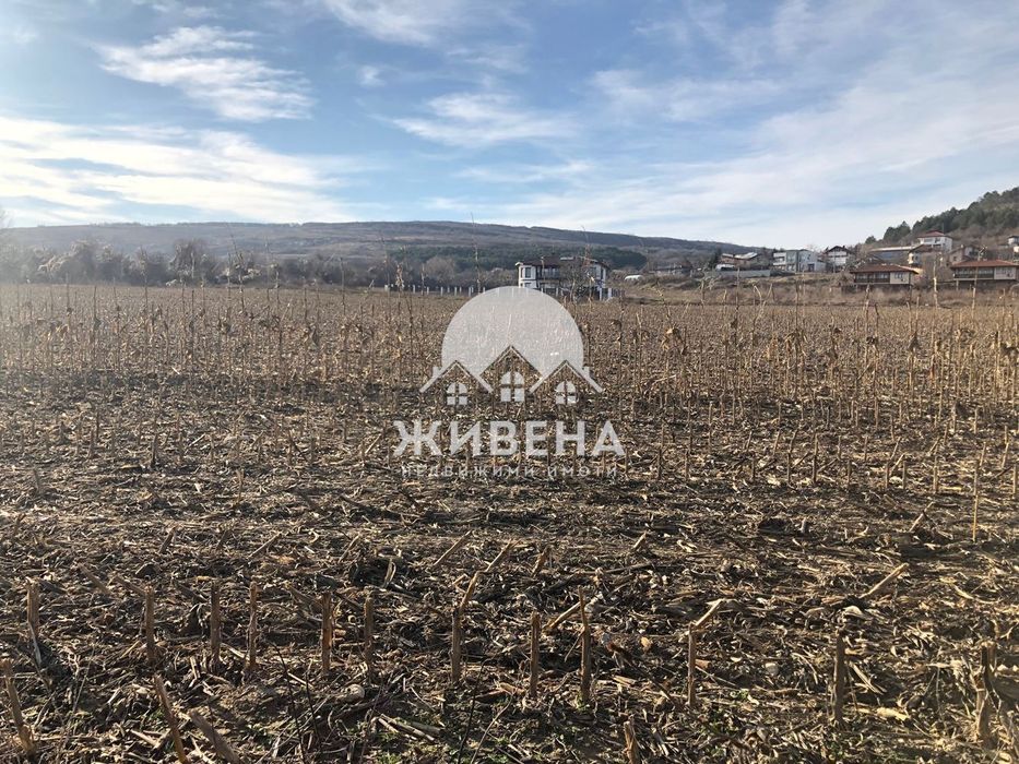 Продава се Парцел в с. Рогачево, Област Добрич - 5259 кв.м за 28 €/кв.м - Снимка #7