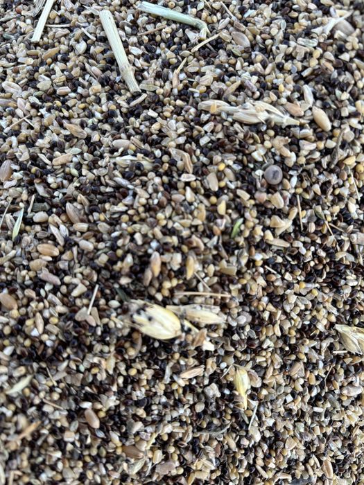 Зерноотходы продам