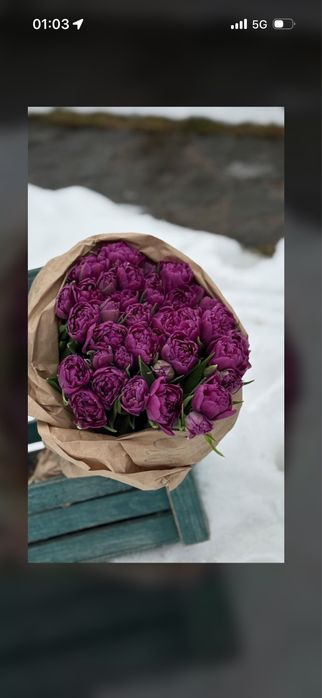 Тюльпаны пионовидыне и классика