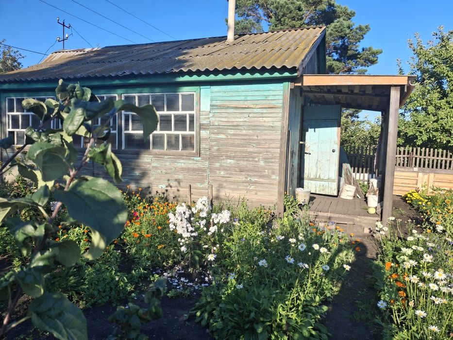 Продам дачу в с/о Буревестник