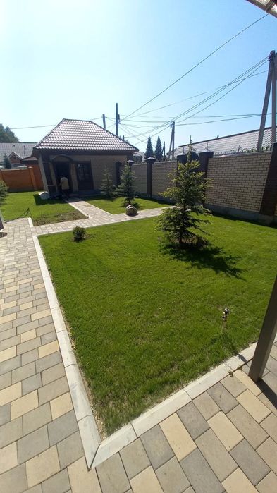 Посев газона , посадка деревьев