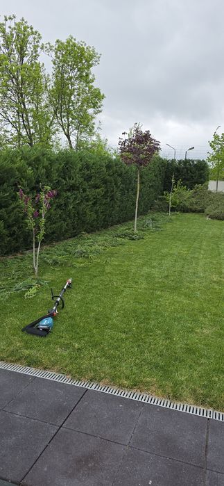 Amenajare/tuns/intretinere spatiu verde
