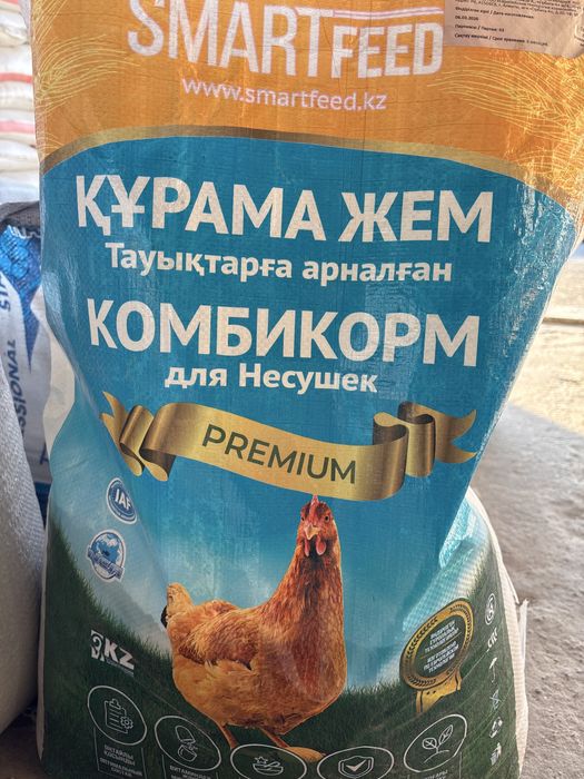 корм для кур несушек