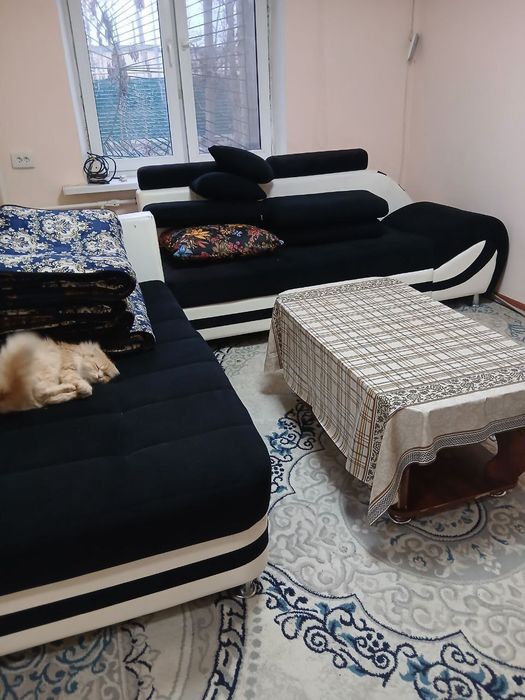 Аренда 1 хонали квартира Массиве Кушбеги Башлык