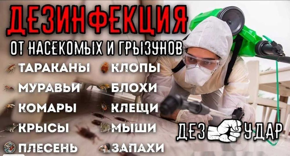 Дезинфекция и уничтожение клопов от 250000 сум с гарантией | klapa