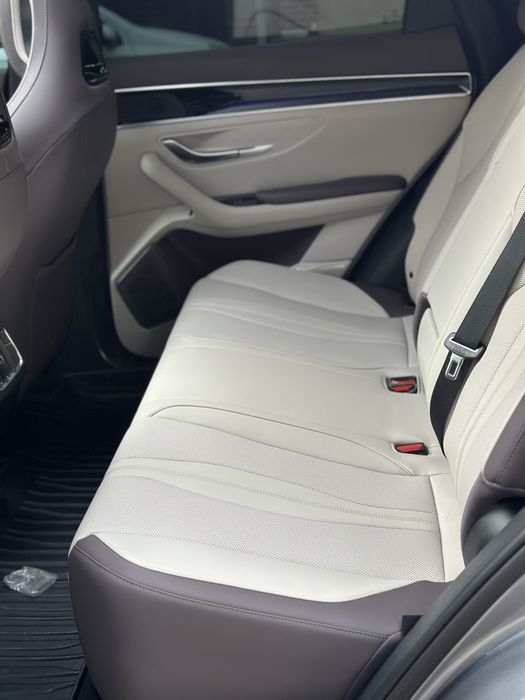 Byd champion smart 605 full 2025