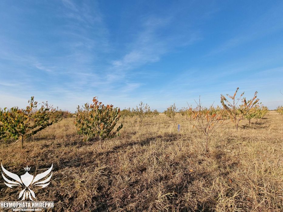 Продава се Земеделски имот в Асеновград -  кв.м за 3009 €/дка - Снимка #12