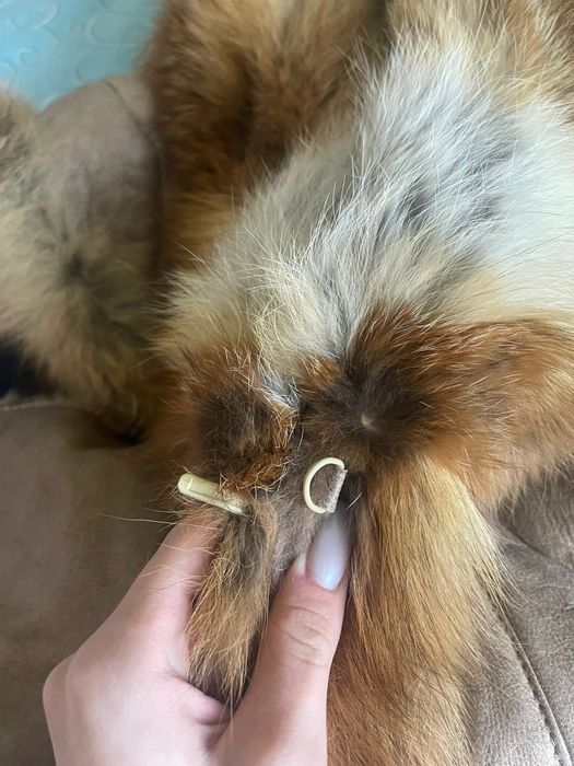 Cojocel miel cu blana de vulpe
