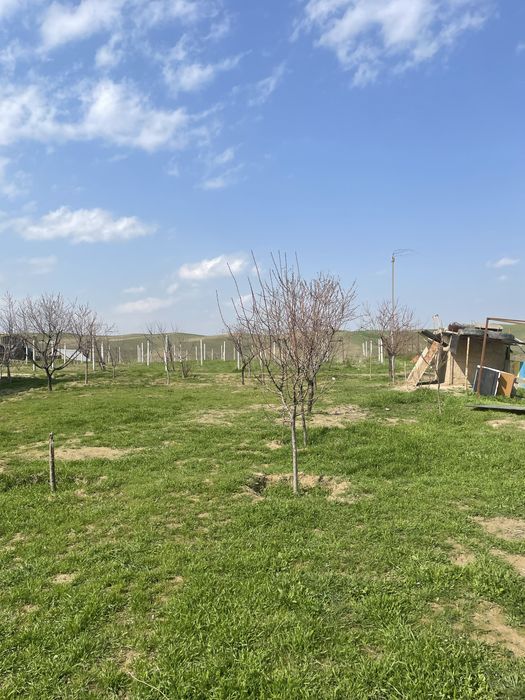 Продаются дачи на маковых полях