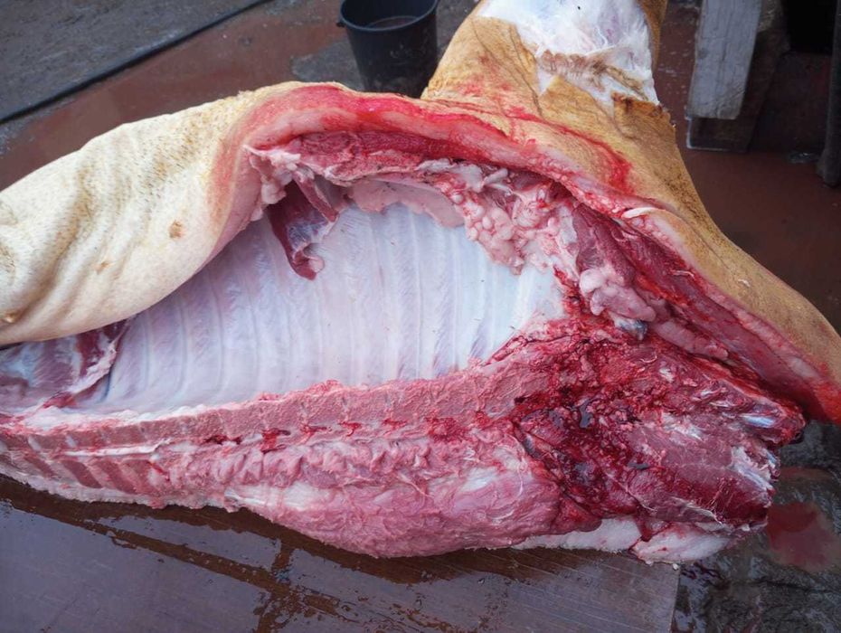 Свинина домашняя продам!