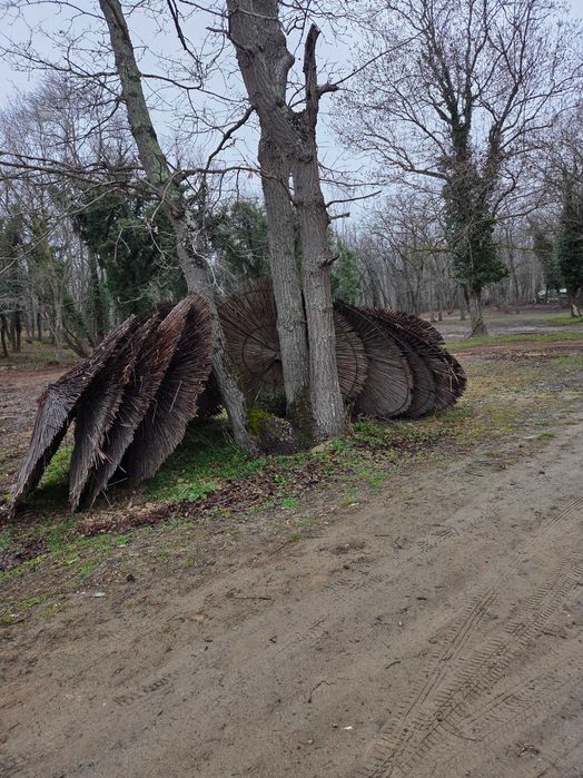 Сламени чадъри диаметър 2.60м