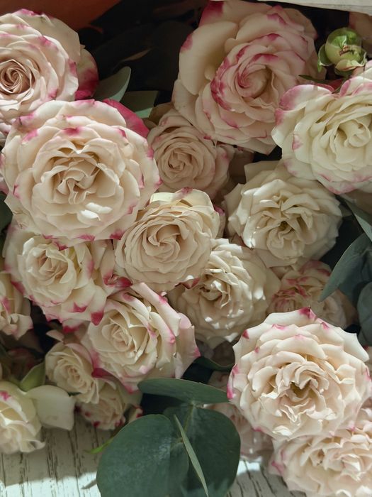 Пионовидные розы свежие