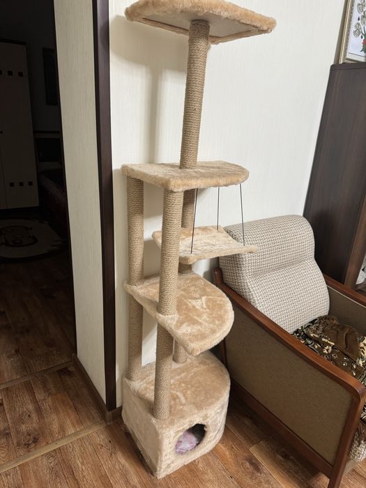 Когтеточка  и домик для кошек