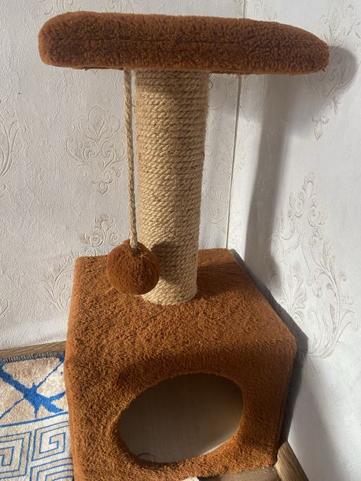 Домик для кота(кошки)