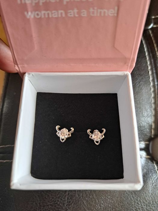 Атрактивни Сребърни обеци