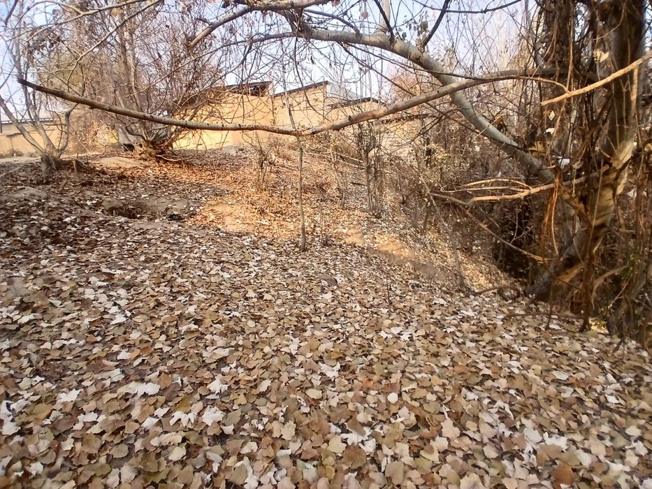 yer, Uy hovli sotiladi