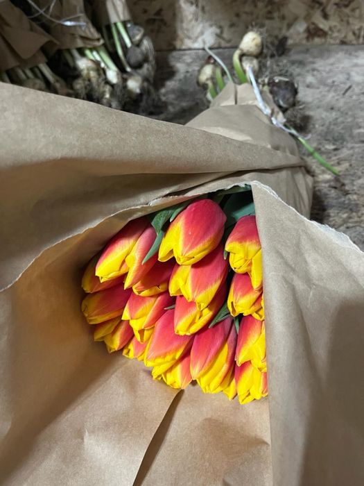 Тюльпаны на 14 февраля и 8 марта