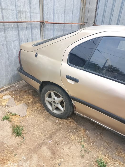 Машина Ниссан примера