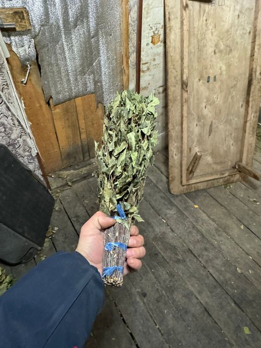 Веники березовые качественные