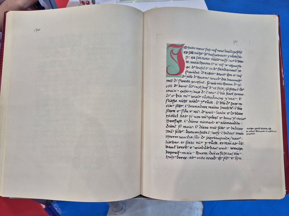 Vand Cartea Roșie
Liber Novus
Autor :
C.G. Jung